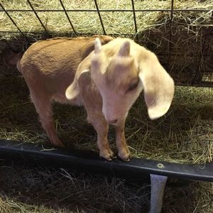 Meet your Posher, Tracy